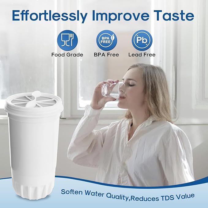ICEPURE NSF53 6-Stage Pitcher Water Filter Replacement for Zero Pitchers ZR-017, ZR-001, ZR-003, ZR-004, ZR-006, ZR-008, ZR-012, ZR-600,ZP-010,0-TDS 2PACK