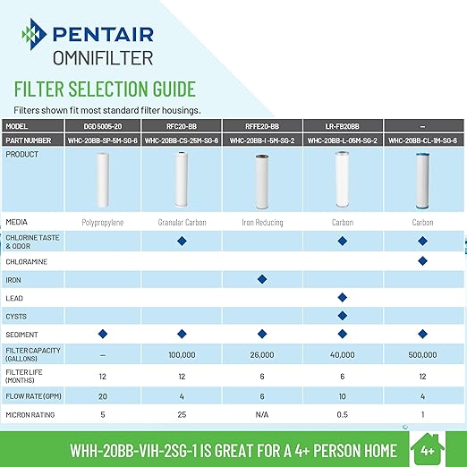 Pentair OMNIFilter Whole Home Valve-in-Head 20" Heavy-Duty Big Blue Water Filtration System with Pressure Relief, White/White