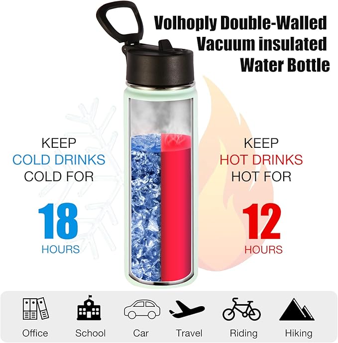 Volhoply Insulated Water Bottles with Straw Bulk 4 Pack, 22 oz Stainless Steel Sports Bottle with Handle Lid,Metal Double Wall Travel Water Cups with Wide Mouth,Reusable Cold Water Flask(Fog,4 Set)
