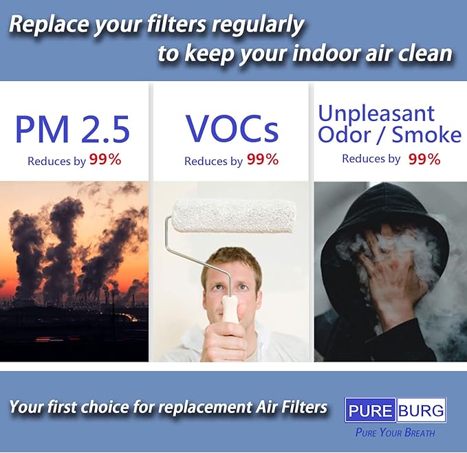 PUREBURG GP-1-F Replacement Filter Compatible with B-Air Grizzly Dryer GP-1,8-Pack Washable Pet-hair Dryer Deodorization Filter Air Clean Dust
