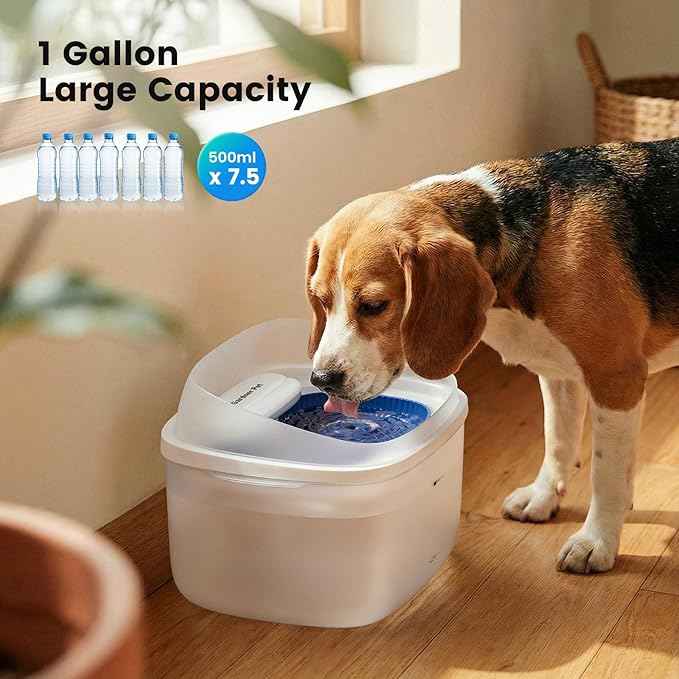 Gardner Pet Cat Fountain 1 Gallon, Vortex Dog Water Fountain, Ultra Quiet Automatic Cat Fountain with Filter, Transparent Tank, Splash-Proof, Easy to Clean,Without Adapter (White)