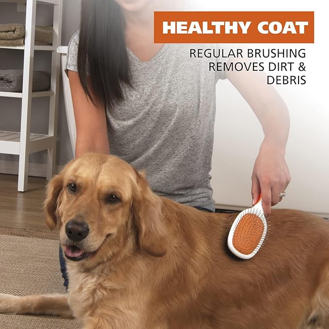 Wahl Premium Pet Double Sided Pin Bristle Brush with Patented Stacked Pin Design for Dogs - Removes Loose Hair & Stimulates the Skin while Creating a Soft Coat Shine - Model 858501 - AquaVibe