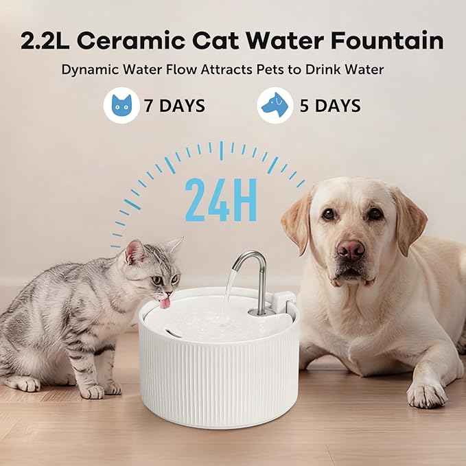 Upgrade Ceramic Cat Water Fountain, 2.2L/78oz Ceramic Cat Fountain, Automatic Ceramic Water Fountain for Cats, Pet Water Fountain with Ultra-Quiet Pump (White)
