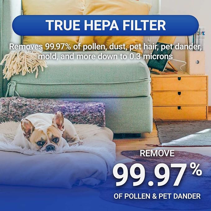 Advanced PureAir Air Shield Air Purifier