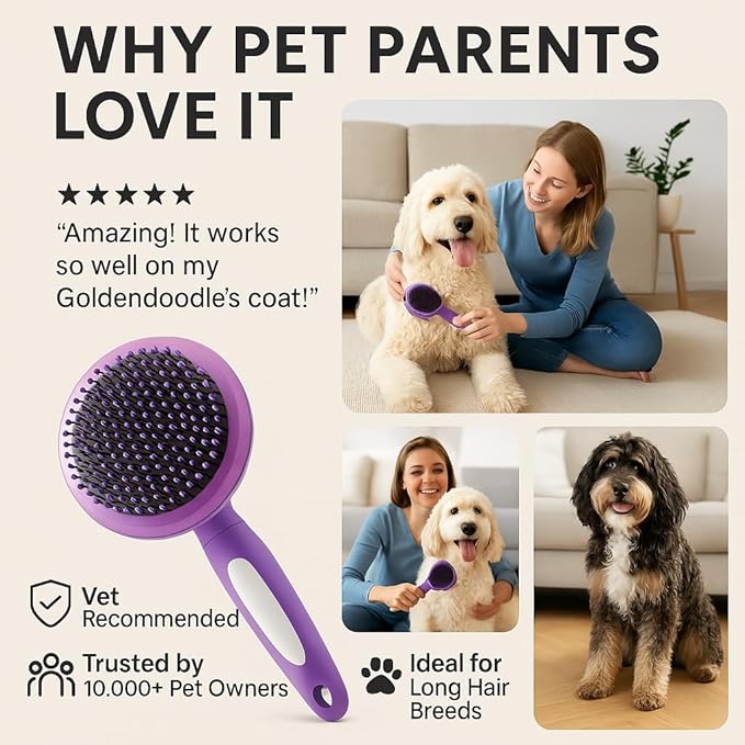 Round Bristle Pet Brush for Dogs and Cats - Soft Dog Brush for Grooming Short or Long Hair - Gentle Tool for Sensitive Skin Removes Dander, Dirt, and Detangles (Purple) - AquaVibe