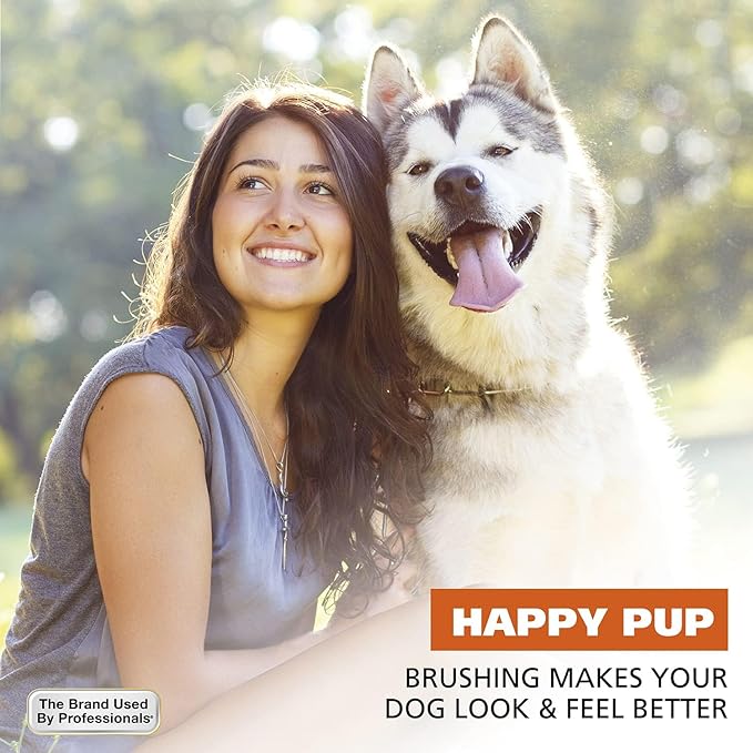 Wahl Premium Pet Double Sided Pin Bristle Brush with Patented Stacked Pin Design for Dogs - Removes Loose Hair & Stimulates the Skin while Creating a Soft Coat Shine - Model 858501 - AquaVibe