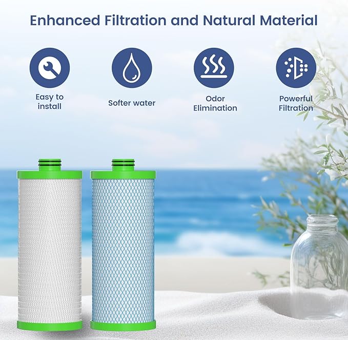 AO-US-200-R Water Filter Replacement Cartridge Compatible with AO Smith Advanced Water Filtration System, 2 Set (4 Count)