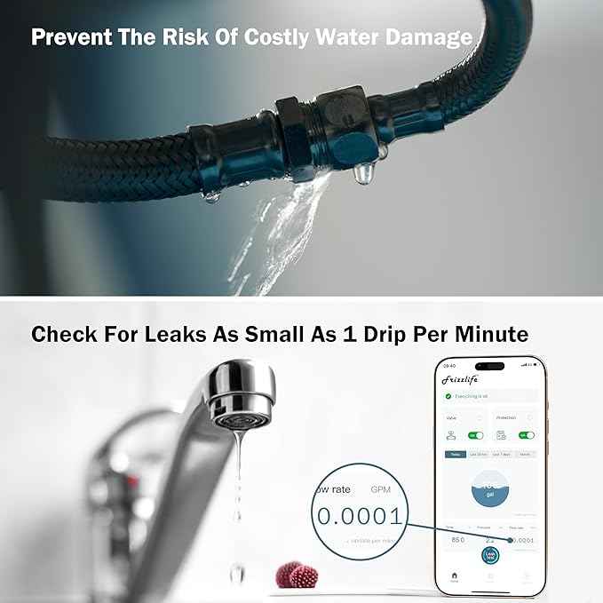 Frizzlife LP365-P Smart Water Monitor and Automatic Shutoff - 0.01 GPM Ultrasonic Micro Leak Detection, Wi-Fi / APP Control, Pressure+Flow Monitoring, 24/7 Water Usage Reports, Fits 1.25" and 1"