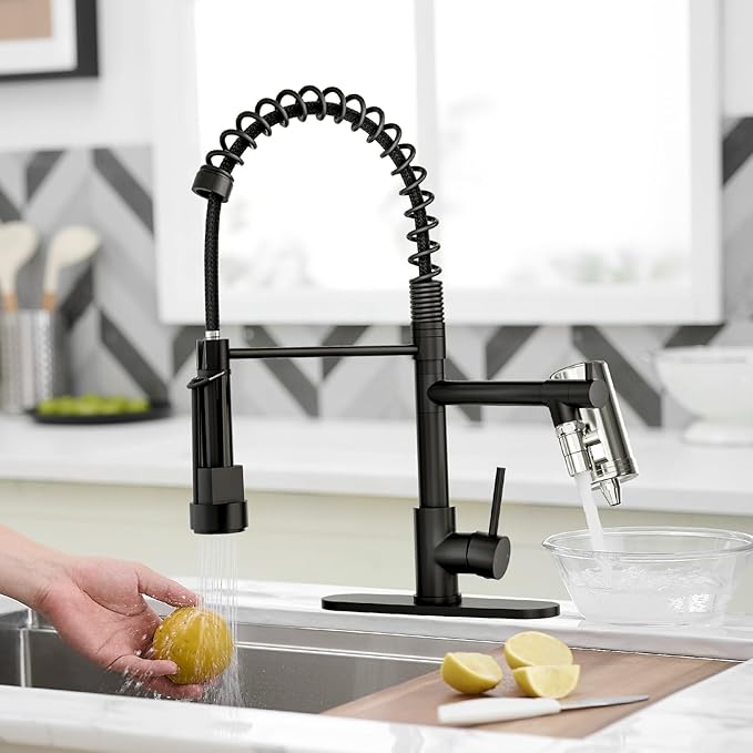 AIMADI Black Kitchen Faucet with Water Filter,Dual Nozzle Matte Black Kitchen Sink Faucet with Pull Down Sprayer for Drinking Water, Farmhouse, RV, Utility or Laundry Sink
