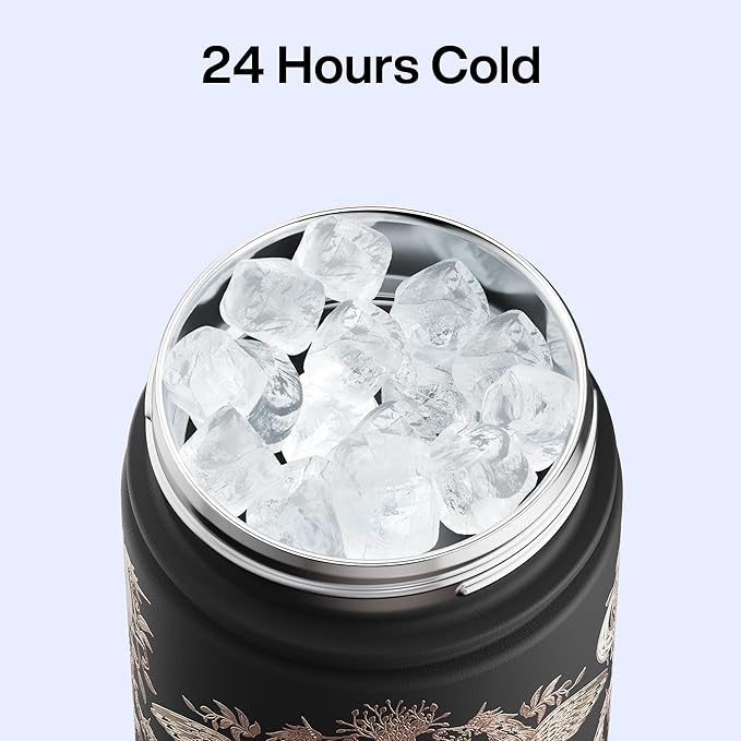 ENCOOL Insulated Water Bottle with Straw Stainless Steel Water Bottle, Leak-Proof, BPA-Free, Double Wall Vacuum Keeps Cold for 24 Hours for Sports, Travel, School (26 oz, Golden Aviary)