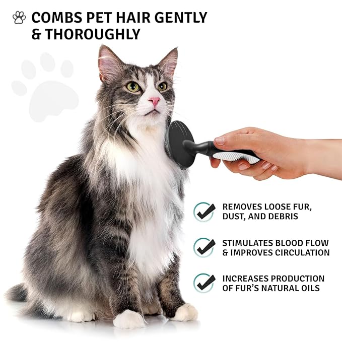 Round Bristle Pet Brush for Dogs and Cats - Soft Dog Brush for Grooming Short or Long Hair - Gentle Tool for Sensitive Skin Removes Dander, Dirt, and Detangles (Black) - AquaVibe
