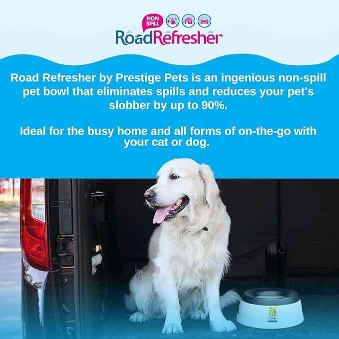 Prestige Pets Road Refresher™️ - Cat and Dog Water Bowl Dispenser - No Spill Water Bowl for Dogs and Cats - Travel Cat Bowl or Dog Bowl - Grey - Large