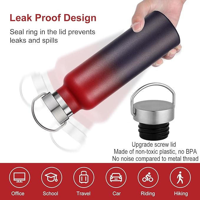 Neihepal Gradient Stainless Steel Water Bottles,20 Ounce Vacuum Insulated Double Wall Travel Bottle with Leak Proof Lid of Handle,Metal Reusable Standard Mouth Flask Thermoses for School,Hikers,Gift