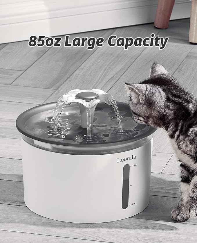 Loomla Cat Water Fountain, 85oz/2.5L Pet Water Fountain Indoor, Automatic Dog Water Dispenser with Switchable LED Lights, 2 Replacement Filters for Cats, Dogs, Pets (Dark Gray)
