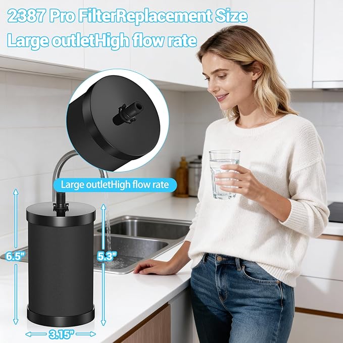 2387 Pro Filter Replacement Compatible with Alexapure 2387 Pro Water Filter Replacement, Reduces chlorine, etc，Last Up to 5000 Gallons,3-stage purification filter Upgraded version Black (4)