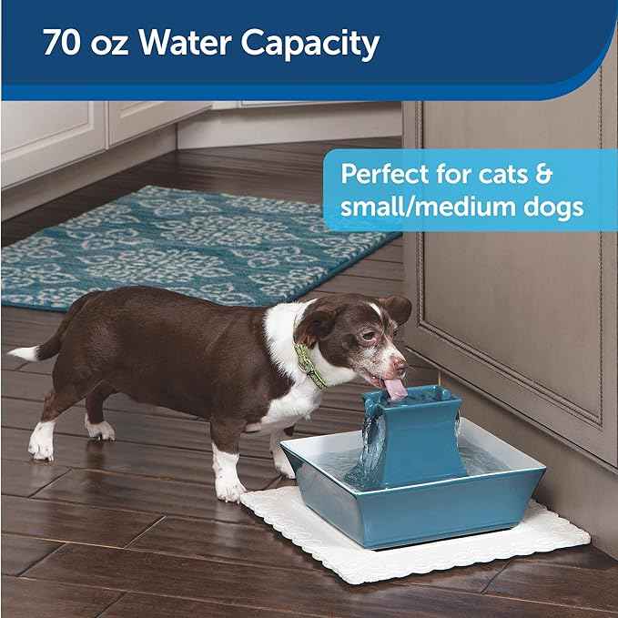 PetSafe Drinkwell Pagoda Pet Fountain and Cleaning Kit - 70 oz Ceramic Elevated Cat and Dog Water Fountain with Filters and Fountain Cleaning Brushes
