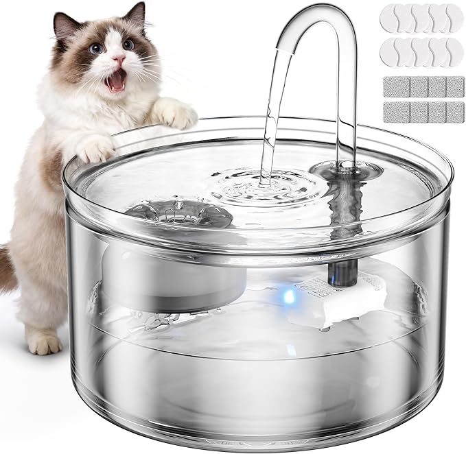 Cat Water Fountain, 74oz/2.2L All Glass Automatic Water Fountain with Ultra-Quiet Auto Shut-Off Pump, Easy to Clean Pet Water Dispenser for Cats, Kittens (with 8 Filters)