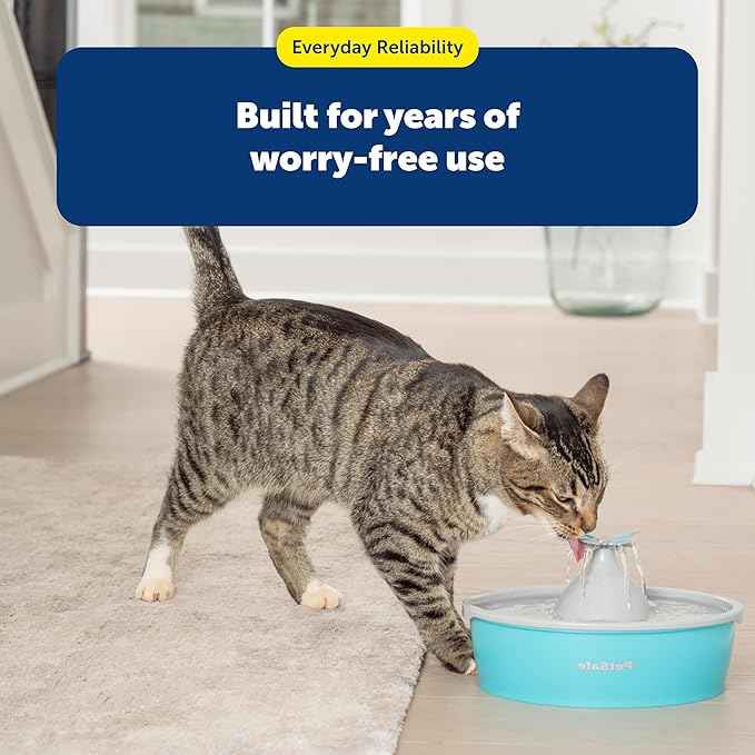 PetSafe Butterfly Cat Water Fountain with Pump & Filters - Cute Water Dispenser with 50 oz Capacity - Pump & Filters Keep Water Clean & Fresh - Filter Contains 2X More Carbon Than Other Brands
