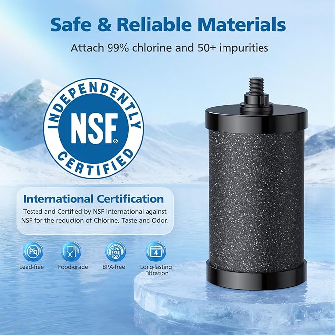2387 Pro Filter Replacement, NSF Certified for Alexapure 2387 Pro Water Filter, 5,000 Gallon Throughput Capacity Compatible with Alexapure Pro Water Filtration System, 2 Pack Black