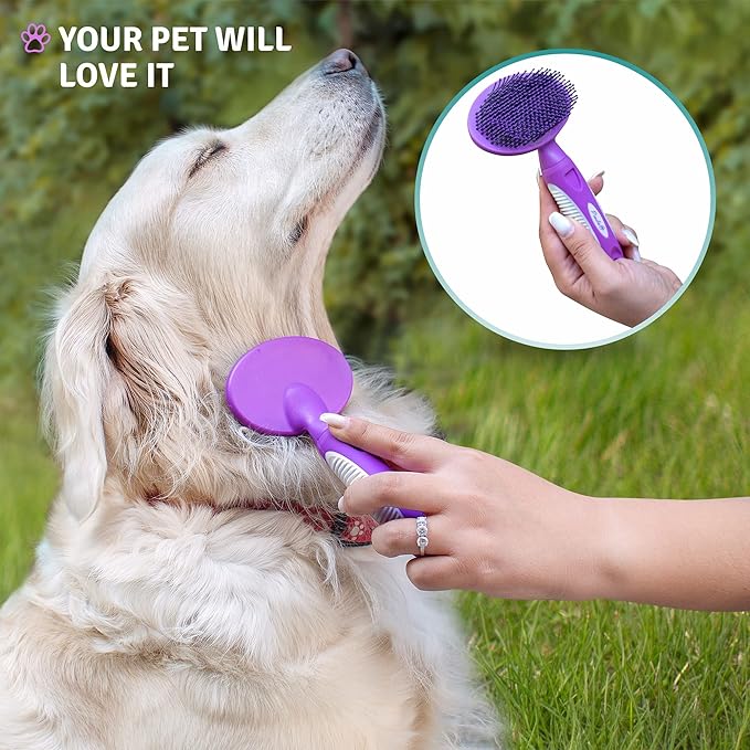 Round Bristle Pet Brush for Dogs and Cats - Soft Dog Brush for Grooming Short or Long Hair - Gentle Tool for Sensitive Skin Removes Dander, Dirt, and Detangles (Purple) - AquaVibe
