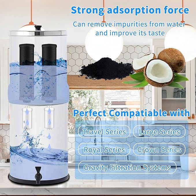 4 Pack Fluoride Water Filter,Replacement for PF-2® Fluoride Filters, Fluoride and Arsenic Filter Compatible with Berkey Gravity Filtration System、 Big、 Travel、 Royal、Imperial and Crown Series