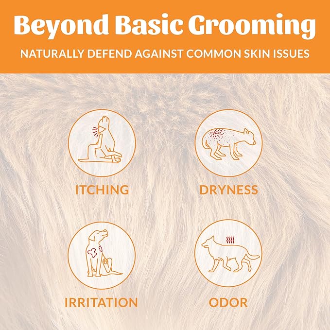 SKOUT'S HONOR Probiotic Pet Deodorizer Spray- Hydrating Daily-Use with Avocado Oil & Omega-3s, Microbiome Friendly Certiified, Paraben & Sulfate-Free, 97% Natural, 8oz, Honeysuckle, 2-Pack - AquaVibe