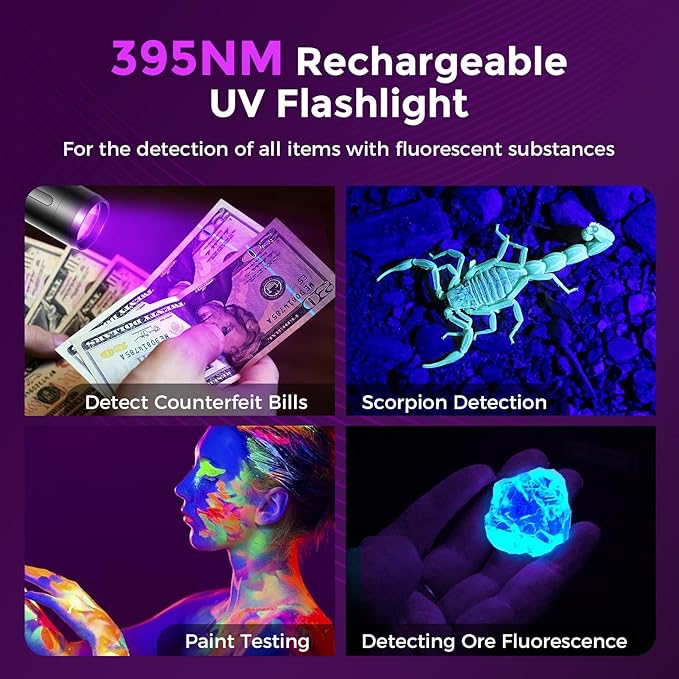 RECHOO Black Light UV Flashlight, 395nm Blacklight Rechargeable Flashlights UV Light, Portable Mini Black Light for Pet Urine Detection, Bed Bug, Dry Stains, Resin Curing, Scorpions Finder