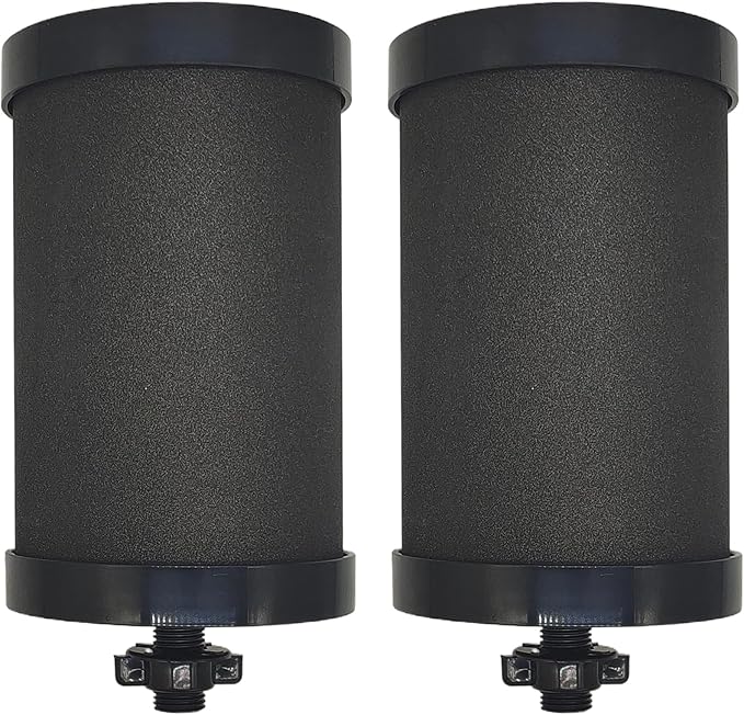 2387 Pro Filter Replacement,for Alexapure Water Filter Replacement,Compatible with Alexapure Pro Water Filtration System - 2 Pack Black