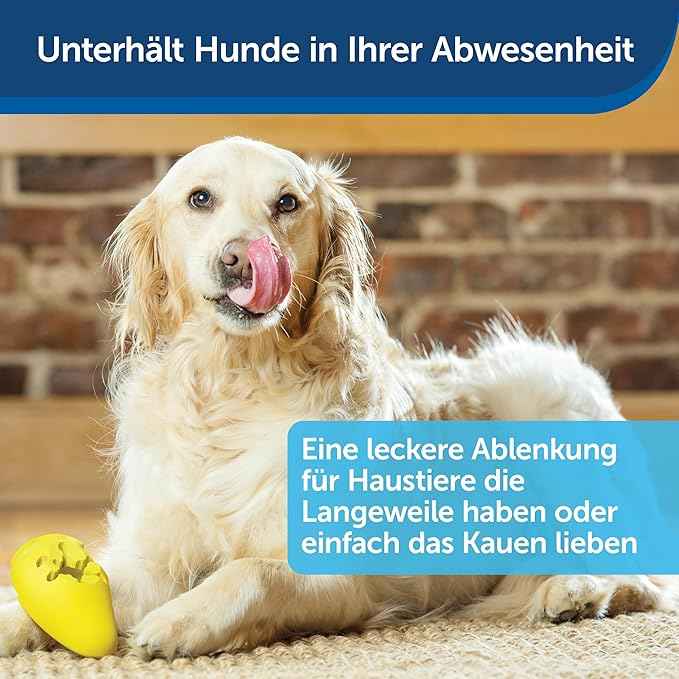 PetSafe Drinkwell 3.7 Litre Drinking Fountain, Ideal for Households with Medium Dogs, Easy Clean Design, Includes Filter, Neues Modell