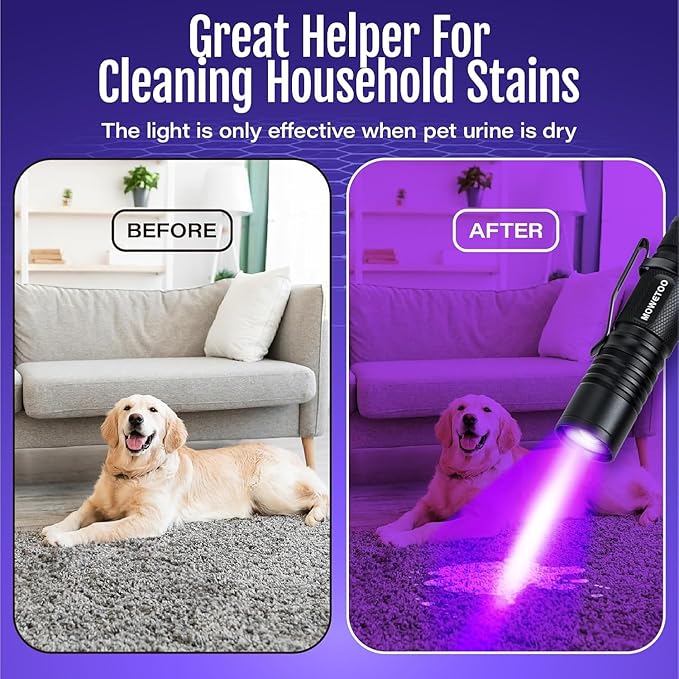 Black light UV Flashlight Rechargeable, 395nm Mini Zoomable Blacklight Woods Lamp, Portable But Powerful USB Ultraviolet Flashlights for Pet Urine Detection, Home, Scorpions, Resin Curing, Leak