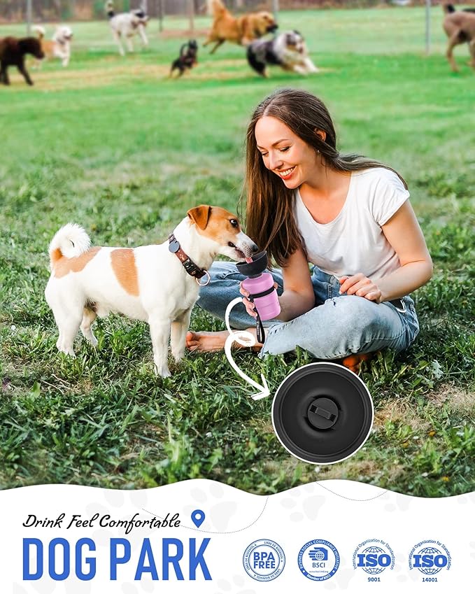 Lesotc Dog Water Bottle, Portable Pet Dispenser with Water Bowl, Leak Proof Pet Travel Squeeze Bottle, Puppy Essentials Dog Stuff Accessories for Outdoor Walking, Hiking, Camping - AquaVibe