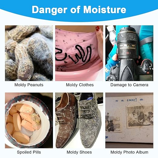 Moisture Absorbers, 20G 75 Pack Premium Transparent Desiccant for Storage, Silica Gel Desiccant Packets (20G, 75)