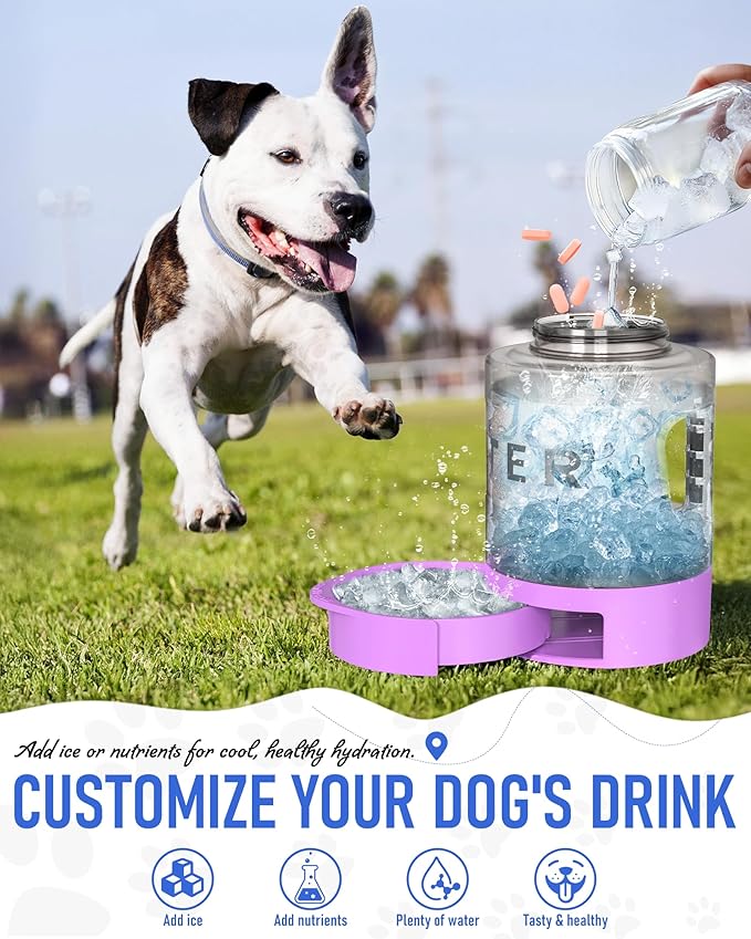 77oz Dog Travel Water Bottle, Large Portable Dog Water Bowl Dispenser, Leakproof Pet Drinking Bottle Dispenser for Hiking Camping Walking Travelling Beach Car Trips, No Spill, BPA Free,Purple - AquaVibe