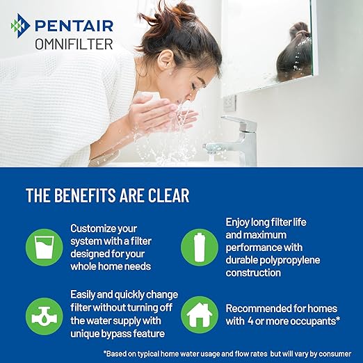 Pentair OMNIFilter Whole Home Valve-in-Head 20" Heavy-Duty Big Blue Water Filtration System with Pressure Relief, White/White