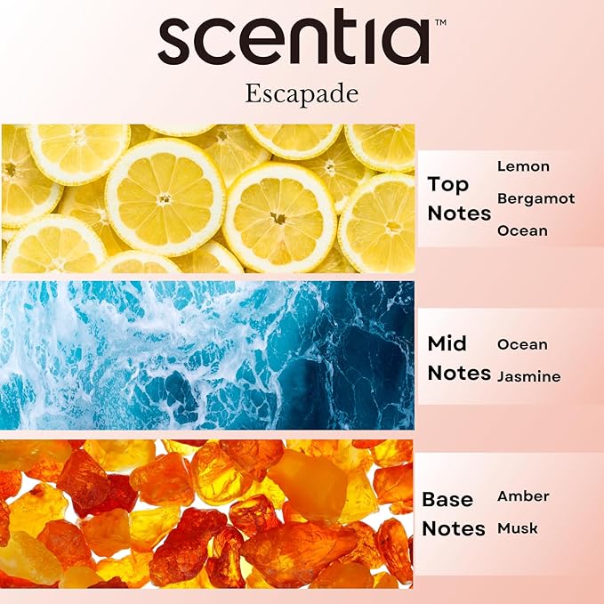 Hotel Diffuser Oil Inspired by 5-Star Hotel Scent - 20 mL 0.67 fl oz - Aromatherapy Fragrance Oil Inspired by 5 Star Hotel - Escapade