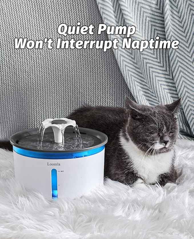 Loomla Cat Water Fountain, 85oz/2.5L Pet Water Fountain Indoor, Automatic Dog Water Dispenser with Switchable LED Lights, 2 Replacement Filters for Cats, Dogs, Pets (Dark Gray)