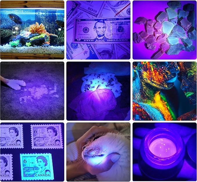 DARKBEAM UV Light Rechargeable USB Flashlight 395nm Blacklight Ultraviolet Wood's Lamp LED Portable Mini Handheld Pocket Torch Detector for Dog Urine Pet Stains Anti-counterfeiting, Resin Curing