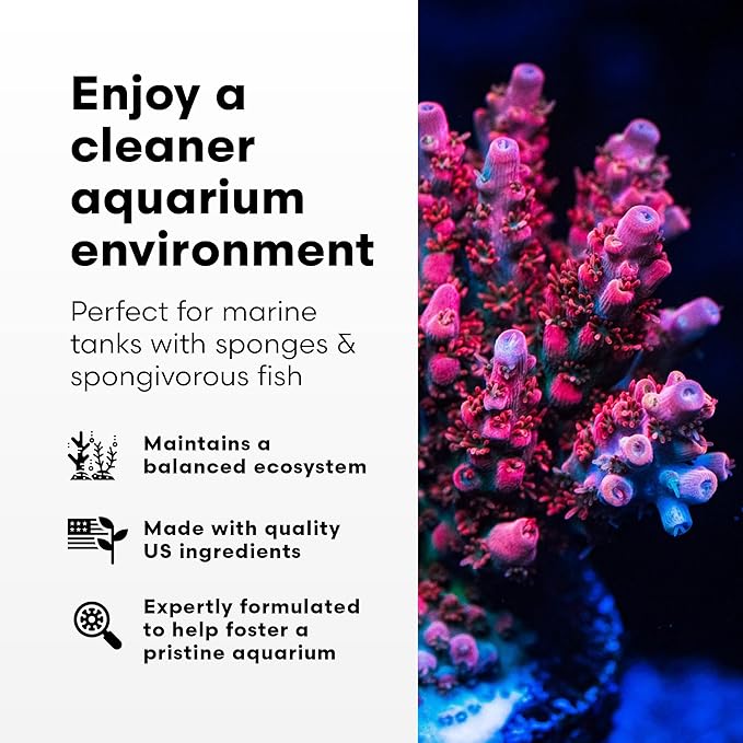 Brightwell Aquatics SpongExcel – Ionic Silica Solution for Marine Sponge & Gastropod Growth in Marine Aquariums, Boosts Water Quality, 2 L - AquaVibe