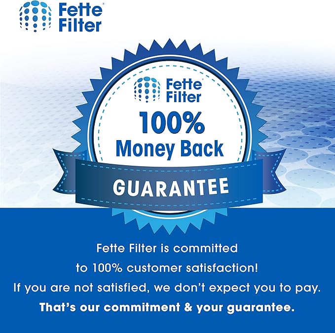 Fette Filter - HEPA Vacuum Air Filter Compatible with Electrolux Guardian LUX Aerus Epic 8000 9000 C134A C134B C134C C134D C134E C134F C154A C154B C154C C154D. Compare to Part # 47404 - Pack of 2 - AquaVibe