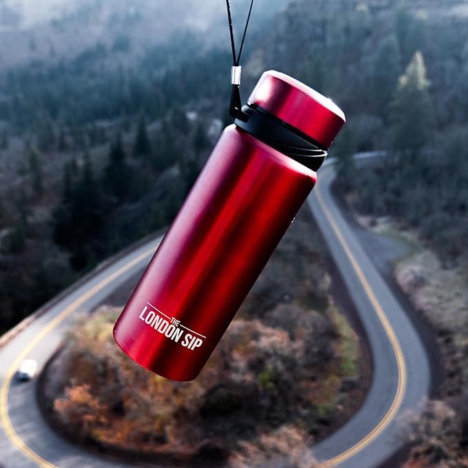 The London Sip 25 oz Multi-Function Travel Mug and Tumbler Tea Infuser Water Bottle Fruit Infused Flask Hot and Cold Double Wall Stainless Steel Coffee Thermos, Sacred Red, Pack of 2