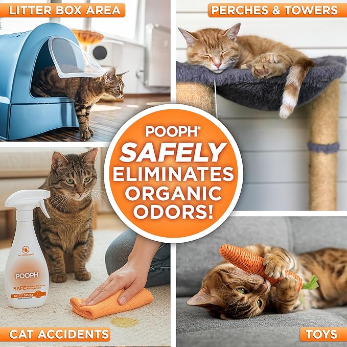 POOPH Kitty Spray - Odor Eliminator, 32oz - Dismantles Odors on a Molecular Basis, Cats, Freshener, Eliminator, Urine, Poop, Pee, Deodorizer, Fresh, Clean, Furniture, Potty, Safe - 2 Pack - AquaVibe