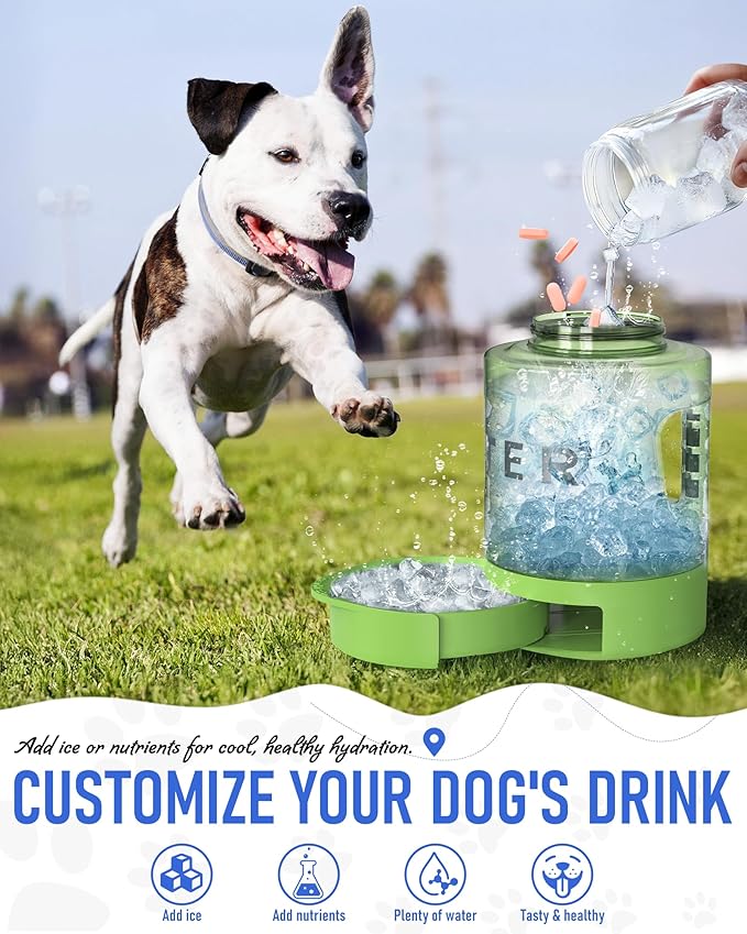 Portable Dog Travel Water Bottle, 77oz Large Portable Dog Water Bowl Dispenser, Leakproof Pet Drinking Bottle Dispenser for Hiking Camping Walking Travelling Beach Car Trips, No Spill, BPA Free,Green - AquaVibe