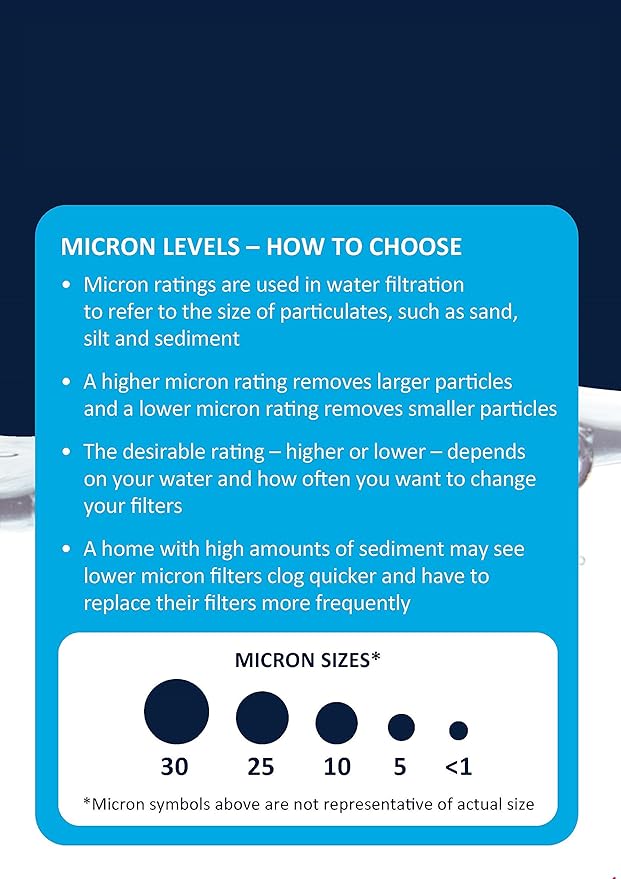EcoPure EPW4C Carbon Block Whole Home Replacement Water Filter-Universal Fits Most Major Brand Systems, 1 Count (Pack of 2), Gray/White