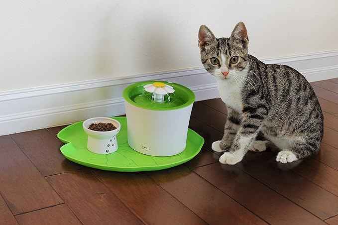 PetStandard Premium Pet Food Tray - Dog and Cat Food Mat with Green Leaf Design - Best for Catit and Drinkwell Water Pet Fountains. Fountain Not Included