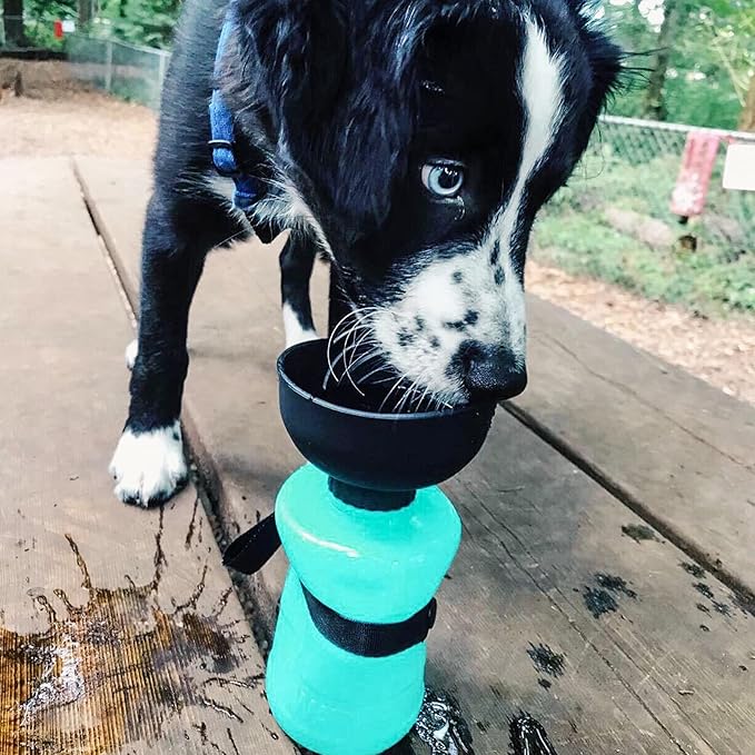 Lesotc Dog Water Bottle, Portable Water Dispenser with Bowl, Leak Proof Pet Travel Squeeze Bottle, Puppy Essentials Dog Stuff Accessories for Outdoor Walking, Hiking, Camping - AquaVibe