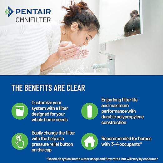 Pentair OMNIFilter Whole Home Valve-in-Head 10" Heavy-Duty Big Blue Water Filtration System with Pressure Relief, White/White