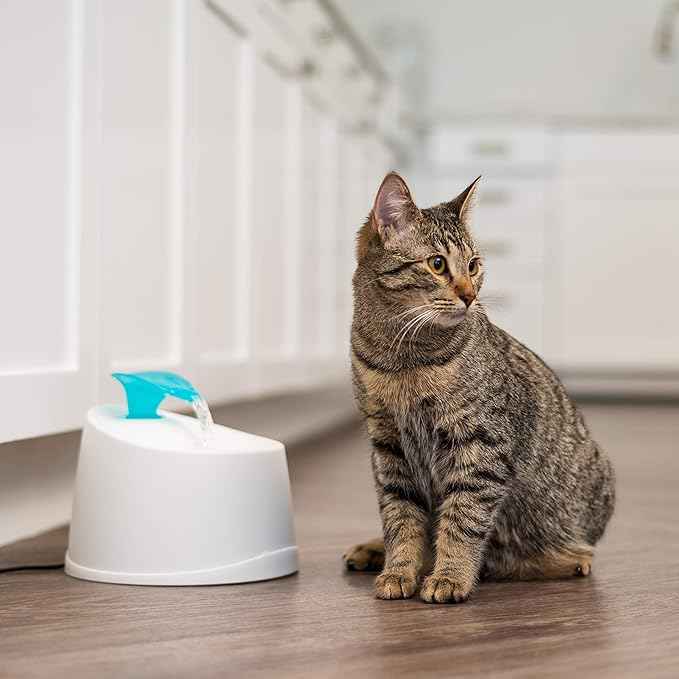 IRIS USA Cat Water Fountain, 44oz / 1.3L, Kitty Spout, Dog Fountain Water Bowl, Silent and Replaceable Charcoal Filter, White/Blue