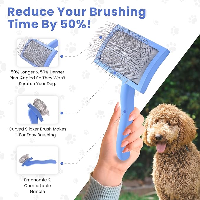 Slicker Brush for Dogs, Dog Grooming Supplies - Best Doodle & Poodle Brush for Long Haired Dogs - Goldendoodle Long Pin Detangler For Dematting (Medium Curved) - AquaVibe