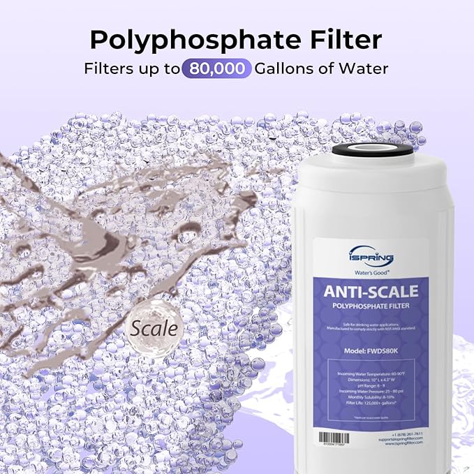 iSpring F2WGB21BDS Whole House 4.5"x10" Water Filtration CTO Carbon Block and Anti-Scale Polyfilter Water Filter Replacement Cartridge Pack Set for WGB21B-DS