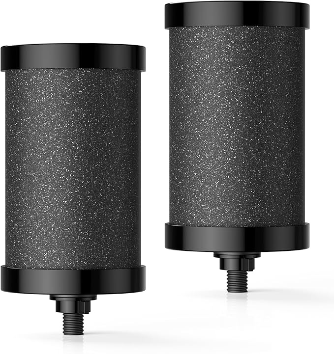 2387 Pro Filter Replacement, NSF Certified for Alexapure 2387 Pro Water Filter, 5,000 Gallon Throughput Capacity Compatible with Alexapure Pro Water Filtration System, 2 Pack Black